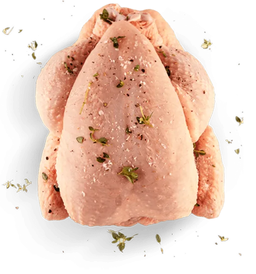 Poulet français préparé pour la marinade du Torigal